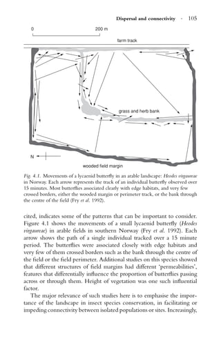 Dispersal and connectivity · 105
wooded field margin
grass and herb bank
farm track
200 m0
N
Fig. 4.1. Movements of a lycaenid butterﬂy in an arable landscape: Heodes virgaureae
in Norway. Each arrow represents the track of an individual butterﬂy observed over
15 minutes. Most butterﬂies associated clearly with edge habitats, and very few
crossed borders, either the wooded margin or perimeter track, or the bank through
the centre of the ﬁeld (Fry et al. 1992).
cited, indicates some of the patterns that can be important to consider.
Figure 4.1 shows the movements of a small lycaenid butterﬂy (Heodes
virgaureae) in arable ﬁelds in southern Norway (Fry et al. 1992). Each
arrow shows the path of a single individual tracked over a 15 minute
period. The butterﬂies were associated closely with edge habitats and
very few of them crossed borders such as the bank through the centre of
the ﬁeld or the ﬁeld perimeter. Additional studies on this species showed
that different structures of ﬁeld margins had different ‘permeabilities’,
features that differentially inﬂuence the proportion of butterﬂies passing
across or through them. Height of vegetation was one such inﬂuential
factor.
The major relevance of such studies here is to emphasise the impor-
tance of the landscape in insect species conservation, in facilitating or
impeding connectivity between isolated populations or sites. Increasingly,
 