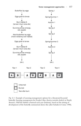 Some management approaches · 157
Butterflies lay eggs
Eggs grow to larvae
Burn habitat A
(larvae in burn area die)
Surviving larvae emerge,
eat, pupate
Adult butterflies lay eggs
(move randomly over habitat)
Eggs grow to larvae
Burn habitat B
(larvae in burn area die)
Surviving larvae emerge,
eat, pupate
(etc.)
Year 1
Unburned
Burned
Year after burn
Year 2 Year 3 Year 4
(etc.)
Spring 1
Spring 2
Spring 2
Spring 3
Spring/Summer 2
Autumn 2
Autumn 1
Spring/Summer 1
A B A B A B A B
Fig. 6.1. Example of assessing management options for a threatened lycaenid
butterﬂy: burning management for Fender’s blue (Icaricia icarioides fenderi) in North
America. Half the habitat is burned each year (bottom), based on the timing of
development of the butterﬂy summarised above this (after Schultz & Crone 1998).
 