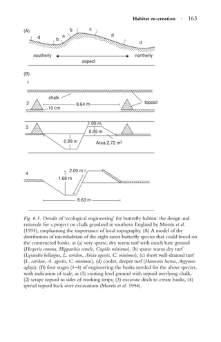 Habitat re-creation · 163
southerly
aspect
chalk
8.64 m
1.00 m
0.99 m
Area 2.72 m2
topsoil
northerly
d
1
b
a
b c
d
d
2
10 cm
0.99 m
2.00 m
4
3
1.68 m
8.63 m
(B)
(A)
Fig. 6.3. Details of ‘ecological engineering’ for butterﬂy habitat: the design and
rationale for a project on chalk grassland in southern England by Morris et al.
(1994), emphasising the importance of local topography. (A) A model of the
distribution of microhabitats of the eight rarest butterﬂy species that could breed on
the constructed banks, as (a) very sparse, dry warm turf with much bare ground
(Hesperia comma, Hipparchia semele, Cupido minimus), (b) sparse warm dry turf
(Lysandra bellargus, L. coridon, Aricia agestis, C. minimus), (c) short well-drained turf
(L. coridon, A. agestis, C. minimus), (d) cooler, deeper turf (Hamearis lucina, Argynnis
aglaja); (B) four stages (1–4) of engineering the banks needed for the above species,
with indication of scale, as (1) existing level ground with topsoil overlying chalk,
(2) scrape topsoil to sides of working strips; (3) excavate ditch to create banks, (4)
spread topsoil back over excavations (Morris et al. 1994).
 