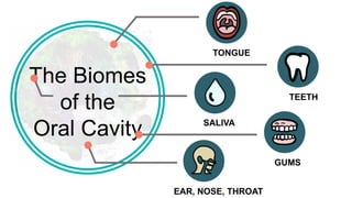 The Biomes
of the
Oral Cavity
TONGUE
TEETH
SALIVA
GUMS
EAR, NOSE, THROAT
 