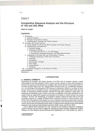 +
Chapter 6
Comparative Sequence Analysis and the Structure
of 16S and 23S rRNA
Robin R. Gutell
CONTENTS
+
I. Introduction .................................................................................................................................. III
A. General Comments ............................................................................................................... III
B. Principles of Covariance Analysis ........................................................................................ 112
C. Modelling rRNA Secondary and Tertiary Structure ............................................................ 112
II. Secondary and Tertiary Structure ............................................................................................... 115
A. Current Models of 16S and 23S rRNA Secondary and Tertiary Structure ........................ 115
B. Characteristics of the Base Pairs .......................................................................................... 117
1. Canonical Pairings ........................................................................................................... 117
2. Noncanonical Pairings ..................................................................................................... 118
a. G:U Base Pairs and G:U .... A:C Interchanges .......................................................... 118
b. Purine:Purine, Pyrirnidine:Pyrirnidine, and Other Interconversions .......................... 119
C. Artangement of the Base Pairs and Characteristics of Helices ........................................... 120
1. Traditional Organization of Base Pairs and Helices ....................................................... 120
2. Lone Pairs ........................................................................................................................ 121
3. Pseudoknots ..................................................................................................................... 121
4. Base Pairings in Parallel .................................................................................................. 122
5. Base Triples ..................................................................................................................... 122
6. Coaxial Helices ................................................................................................................ 123
7. Tetraloops ........................................................................................................................ 123
m. A Comparative Perspective on the Structure of rRNA .............................................................. 124
Acknowledgments ................................................................................................................................ 125
References .............................................................................................................................................. 125
I. INTRODUCTION
A. GENERAL COMMENTS
Determining the secondary and tertiary structure of an RNA from its sequence requires a strong
understanding of the basic principles of RNA structure and the expertise to utilize these principles to
transfonn the sequence of that molecule into its higher-order structure. Beyond our basic appreciation for
secondary-structure helices and a few emerging RNA structural motifs (e.g., pseudoknots, tetraloops.
etc.), our knowledge of the principles of RNA structure is rudimentary. Moreover, our ability to fold a
primary structure into its secondary structure. while getting better, needs further improvement since the
number of theoretically possible secondary structures for large RNA molecules is quite large, and
identifying the biologically correct version is not easily accomplished. Given these limitations, we are
unable to take any single rRNA sequence and detennine its secondary or tertiary structure with strong
confidence. However, the methodology of comparative sequence analysis has been used to solve the
secondary structures for a number of different RNA molecules (reviewed in: Woese and Pace 1993,
Gutell 1993a). The objective of this chapter is to review comparative sequence analysis and the structures
for 16S and 23S rRNA that have been inferred with this approach, and to discuss some of the principles
of RNA structure that.are resulting from these studies. [A longer and more detailed account ofthe material
presented in this article has been published elsewhere (Gutell, Larsen, and Woese 1994)].
Several different RNA molecules have been analyzed by the comparative approach. Comparative
sequence analysis was first used to suggest the cloverleaf secondary-structure configuration of tRNA
(Holley et al. 1965; Madison, Everett, and Kung 1966; RajBhandary et al. 1966; Zachau et al. 1966). A
0-S49J.Il864-JI96I$O.oo.s.so
o 1996 by CRt Prcu.lnc. 111
 