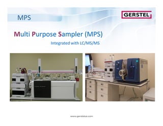 Automated sample preparation using the GERSTEL MPS Series and MAESTRO ...