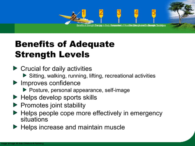 muscle strength endurance | PPT | Fitness and Exercise | Healthy Living