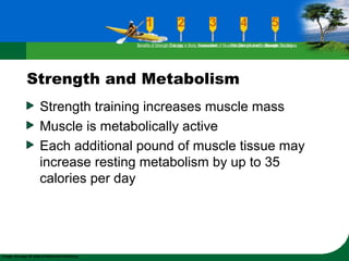 Strength and Metabolism
Strength training increases muscle mass
Muscle is metabolically active
Each additional pound of muscle tissue may
increase resting metabolism by up to 35
calories per day
Benefits of Strength TrainingChanges in Body CompositionAssessment of Muscular Strength and EndurancePrinciples Involved in Strength TrainingExercise Guidelines
 