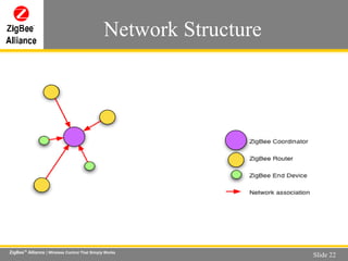 Network Structure 