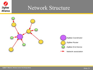 Network Structure 
