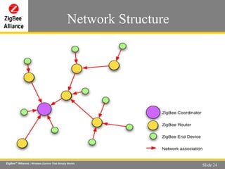Network Structure 
