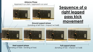 Airborne Phase
Approach run start / approach run end
Heel support phase
(landing of heel – landing of toe)
Full support phase
(landing of toe – impact w/ ball)
Ground support phase
(Landing of left foot – impact w/ ball)
Sequence of a
right legged
pass kick
movement
 
