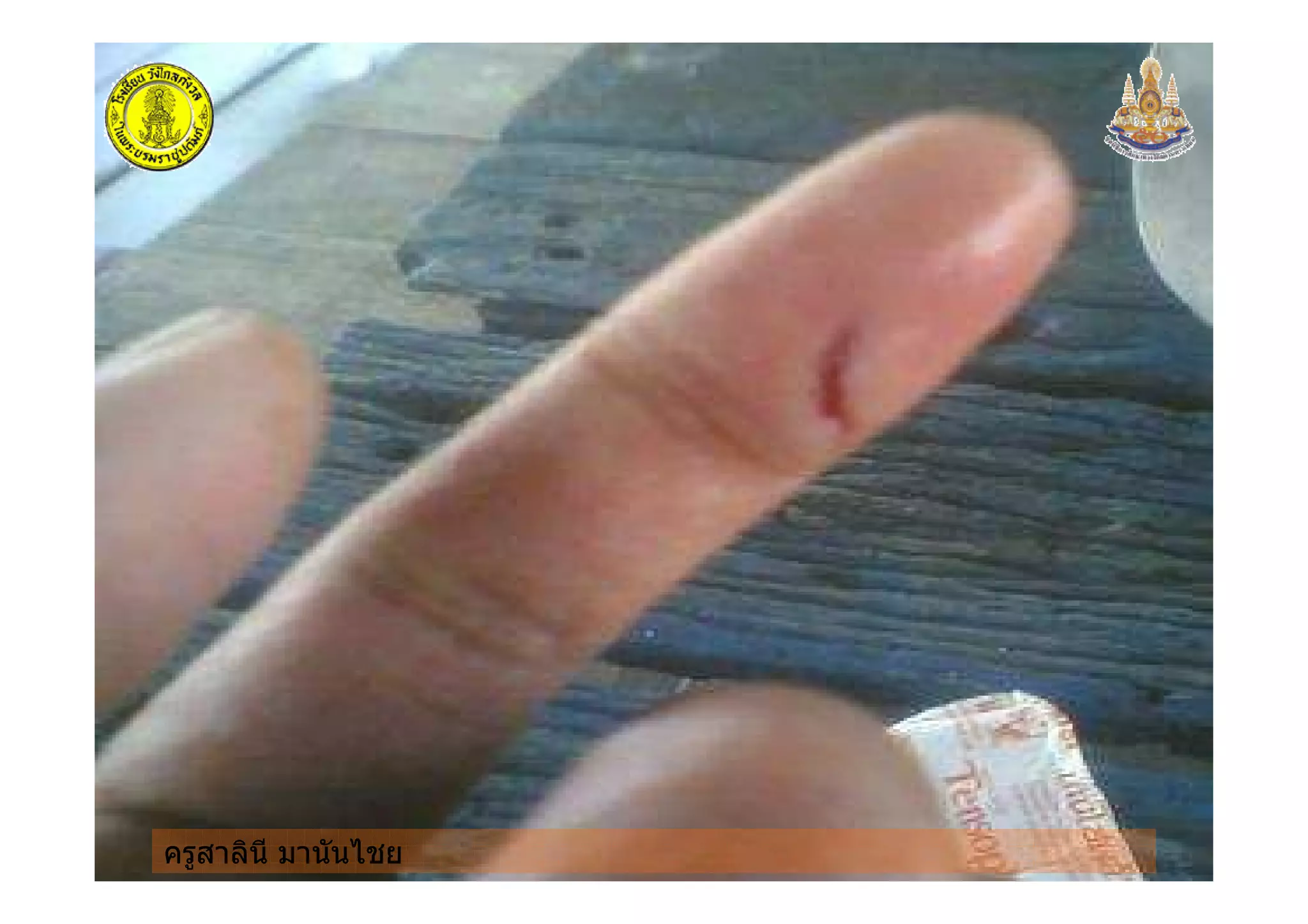 ครูสาลินี มานันไชยครูสาลินี มานันไชย
 