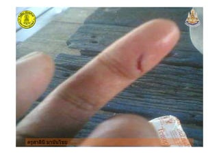 ครูสาลินี มานันไชยครูสาลินี มานันไชย
 