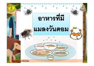 ครูสาลินี มานันไชยครูสาลินี มานันไชย
 