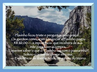 Flavinho ficou triste e perguntou pelo preço...  Os garotos começaram a negociar e Flavinho pagou  R$ 20,00 — a importância  que recebera de sua  mãe para fazer a compra.  E querem saber o que o  Flavinho fez com o passarinho? Soltou-o antes de chegar em casa.  —  Experiência de libertação de um garoto do Morro. http://br.groups.yahoo.com/group/lancandosementespeloscaminhos/ 