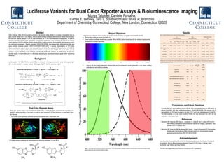 Luciferase Variants for Dual Color Reporter Assays & Bioluminescence ...