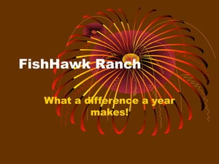 FishHawk Ranch
What a difference a year
makes!
 