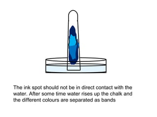 The ink spot should not be in direct contact with the 
water. After some time water rises up the chalk and 
the different colours are separated as bands 
 