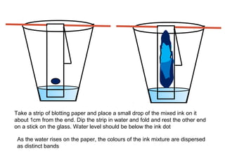 Take a strip of blotting paper and place a small drop of the mixed ink on it 
about 1cm from the end. Dip the strip in water and fold and rest the other end 
on a stick on the glass. Water level should be below the ink dot 
As the water rises on the paper, the colours of the ink mixture are dispersed 
as distinct bands 
