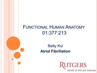FUNCTIONAL HUMAN ANATOMY
01:377:213
Betty Kui
Atrial Fibrillation
 