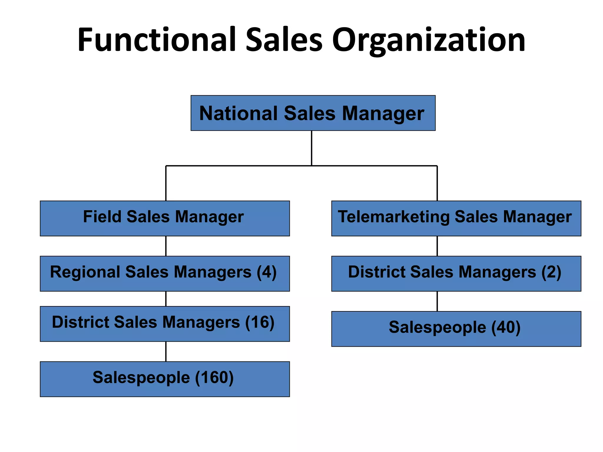 Functional Sales Organization
National Sales Manager
Field Sales Manager Telemarketing Sales Manager
Regional Sales Managers (4)
Salespeople (160)
Salespeople (40)
District Sales Managers (2)
District Sales Managers (16)
 