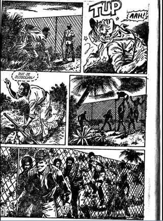 0570. Operacija Pajper