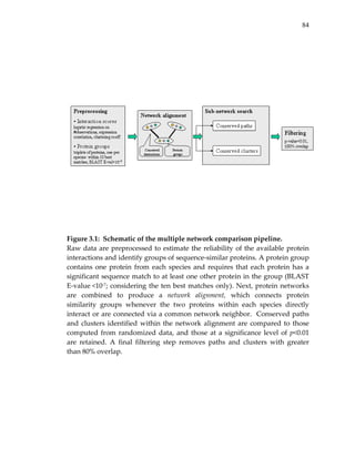 84
 
Figure 3.1:  Schematic of the multiple network comparison pipeline. 
Raw data are preprocessed to estimate the reliability of the available protein 
interactions and identify groups of sequence‐similar proteins. A protein group 
contains one protein from each species and requires that each protein has a 
significant sequence match to at least one other protein in the group (BLAST 
E‐value <10‐7; considering the ten best matches only). Next, protein networks 
are  combined  to  produce  a  network  alignment,  which  connects  protein 
similarity  groups  whenever  the  two  proteins  within  each  species  directly 
interact or are connected via a common network neighbor.  Conserved paths 
and clusters identified within the network alignment are compared to those 
computed from randomized data, and those at a significance level of p<0.01 
are  retained.  A  final  filtering  step  removes  paths  and  clusters  with  greater 
than 80% overlap. 
 