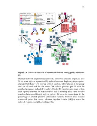 86
 
 
 
Figure 3.3:  Modular structure of conserved clusters among yeast, worm and 
fly.  
Multiple network alignment revealed 183 conserved clusters, organized into 
71 network regions represented by colored squares. Regions group together 
clusters that share >15% overlap with at least one other cluster in the group 
and  are  all  enriched  for  the  same  GO  cellular  process  (p<0.05  with  the 
enriched processes indicated by color). Cluster ID numbers are given within 
each square; numbers are not sequential due to filtering. Solid links indicate 
overlaps  between  different  regions,  where  thickness  is  proportional  to  the 
percentage  of  shared  proteins  (intersection / union).  Hashed  links  indicate 
conserved  paths  that  connect  clusters  together.  Labels  [a‐k],[m]  mark  the 
network regions exemplified in Figure 3.2. 
 