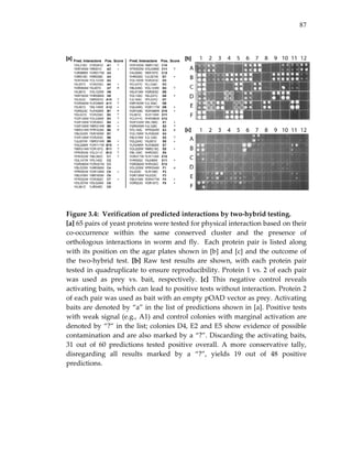 87
 
 
 
 
Figure 3.4:  Verification of predicted interactions by two‐hybrid testing. 
[a] 65 pairs of yeast proteins were tested for physical interaction based on their 
co‐occurrence  within  the  same  conserved  cluster  and  the  presence  of 
orthologous  interactions  in  worm  and  fly.    Each  protein  pair  is  listed  along 
with its position on the agar plates shown in [b] and [c] and the outcome of 
the  two‐hybrid  test.  [b]  Raw  test  results  are  shown,  with  each  protein  pair 
tested in quadruplicate to ensure reproducibility. Protein 1 vs. 2 of each pair 
was  used  as  prey  vs.  bait,  respectively.  [c]  This  negative  control  reveals 
activating baits, which can lead to positive tests without interaction. Protein 2 
of each pair was used as bait with an empty pOAD vector as prey. Activating 
baits are denoted by “a” in the list of predictions shown in [a]. Positive tests 
with weak signal (e.g., A1) and control colonies with marginal activation are 
denoted by “?” in the list; colonies D4, E2 and E5 show evidence of possible 
contamination and are also marked by a “?”. Discarding the activating baits, 
31  out  of  60  predictions  tested  positive  overall.  A  more  conservative  tally, 
disregarding  all  results  marked  by  a  “?”,  yields  19  out  of  48  positive 
predictions. 
 
 
