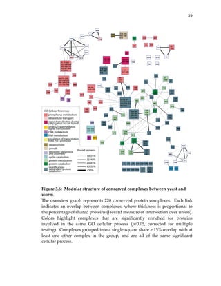 89
 
 
 
Figure 3.6:  Modular structure of conserved complexes between yeast and 
worm. 
The overview graph represents 220 conserved protein complexes.  Each link 
indicates  an  overlap  between  complexes,  where  thickness  is  proportional  to 
the percentage of shared proteins (Jaccard measure of intersection over union).  
Colors  highlight  complexes  that  are  significantly  enriched  for  proteins 
involved  in  the  same  GO  cellular  process  (p<0.05,  corrected  for  multiple 
testing).  Complexes grouped into a single square share > 15% overlap with at 
least  one  other  complex  in  the  group,  and  are  all  of  the  same  significant 
cellular process. 
 