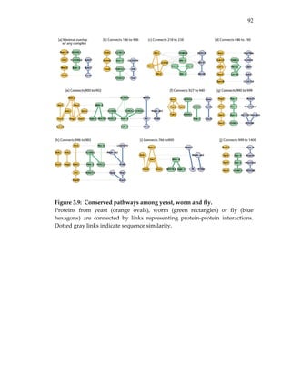 92
 
 
 
Figure 3.9:  Conserved pathways among yeast, worm and fly. 
Proteins  from  yeast  (orange  ovals),  worm  (green  rectangles)  or  fly  (blue 
hexagons)  are  connected  by  links  representing  protein‐protein  interactions.  
Dotted gray links indicate sequence similarity. 
 
 