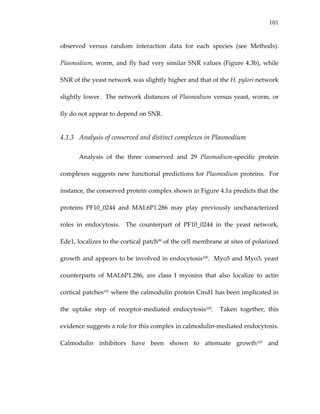 101
observed  versus  random  interaction  data  for  each  species  (see  Methods).  
Plasmodium, worm, and fly had very similar SNR values (Figure 4.3b), while 
SNR of the yeast network was slightly higher and that of the H. pylori network 
slightly lower.  The network distances of Plasmodium versus yeast, worm, or 
fly do not appear to depend on SNR. 
4.1.3 Analysis of conserved and distinct complexes in Plasmodium 
Analysis  of  the  three  conserved  and  29  Plasmodium‐specific  protein 
complexes suggests new functional predictions for Plasmodium proteins.  For 
instance, the conserved protein complex shown in Figure 4.1a predicts that the 
proteins  PF10_0244  and  MAL6P1.286  may  play  previously  uncharacterized 
roles  in  endocytosis.    The  counterpart  of  PF10_0244  in  the  yeast  network, 
Ede1, localizes to the cortical patch99 of the cell membrane at sites of polarized 
growth and appears to be involved in endocytosis100.  Myo5 and Myo3, yeast 
counterparts  of  MAL6P1.286,  are  class  I  myosins  that  also  localize  to  actin 
cortical patches101 where the calmodulin protein Cmd1 has been implicated in 
the  uptake  step  of  receptor‐mediated  endocytosis102.    Taken  together,  this 
evidence suggests a role for this complex in calmodulin‐mediated endocytosis.  
Calmodulin  inhibitors  have  been  shown  to  attenuate  growth103  and 
 