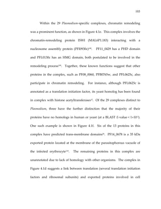 103
Within  the  29  Plasmodium‐specific  complexes,  chromatin  remodeling 
was a prominent function, as shown in Figure 4.1e.  This complex involves the 
chromatin‐remodeling  protein  ISWI  (MAL6P1.183)  interacting  with  a 
nucleosome  assembly  protein  (PFI0930c)108.      PF11_0429  has  a  PHD  domain 
and  PFL0130c  has  an  HMG  domain,  both  postulated  to  be  involved  in  the 
remodeling  process109.    Together,  these  known  functions  suggest  that  other 
proteins  in  the  complex,  such  as  PF08_0060,  PFB0765w,  and  PFL0625c,  also 
participate  in  chromatin  remodeling.    For  instance,  although  PFL0625c  is 
annotated as a translation initiation factor, its yeast homolog has been found 
in complex with histone acetyltransferases12.  Of the 29 complexes distinct to 
Plasmodium,  three  have  the  further  distinction  that  the  majority  of  their 
proteins have no homologs in human or yeast (at a BLAST E‐value < 1×10‐2).  
One  such  example  is  shown  in  Figure  4.1f.    Six  of  the  13  proteins  in  this 
complex have predicted trans‐membrane  domains56.  PF14_0678 is a 35 kDa 
exported protein located at the membrane of the parasitophorous vacuole of 
the  infected  erythrocyte110.    The  remaining  proteins  in  this  complex  are 
unannotated due to lack of homology with other organisms.  The complex in 
Figure 4.1d suggests a link between translation (several translation initiation 
factors  and  ribosomal  subunits)  and  exported  proteins  involved  in  cell 
 