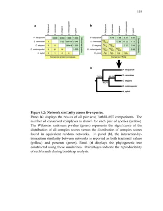 118
 
 
   
Figure 4.2:  Network similarity across five species. 
Panel (a) displays the results of all pair‐wise PathBLAST comparisons.  The 
number  of  conserved  complexes  is  shown  for  each  pair  of  species  (yellow).  
The  Wilcoxon  rank‐sum  p‐value  (green)  represents  the  significance  of  the 
distribution  of  all  complex  scores  versus  the  distribution  of  complex  scores 
found  in  equivalent  random  networks.    In  panel  (b),  the  interaction‐by‐
interaction similarity between networks is reported as both fractional values 
(yellow)  and  percents  (green).  Panel  (c)  displays  the  phylogenetic  tree 
constructed using these similarities.  Percentages indicate the reproducibility 
of each branch during bootstrap analysis.  
 