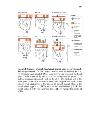 147
 
 
Figure 5.1:  Examples of the electrical circuit approach and the eQED model. 
 [A] Sample network.  [B] The “greedy” random walk approach by Tu et al.  
[C] The single locus model of eQED.  Gene T in the blue hexagon is the target 
gene.  The locus marked by the red box, containing candidate genes L1, L2 
and  L3,  associates  significantly  with  the  target  T.    The  numbers  next  to  the 
locus genes corresponds to the number of times the gene was visited in the 
random  walk  approaches  or  the  amount  of  current  through  them  in  the 
electric  circuit  approach.    [D]  The  random  walk  derived  from  [C].    [E]  The 
sample  network  with  two  significant  loci.    [F]  The  multiple  loci  model  of 
eQED. 
 
