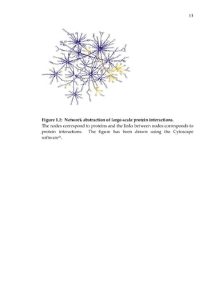 13
 
 
 
Figure 1.2:  Network abstraction of large‐scale protein interactions.   
The nodes correspond to proteins and the links between nodes corresponds to 
protein  interactions.    The  figure  has  been  drawn  using  the  Cytoscape 
software25. 
 
 
 