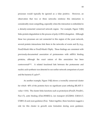 68
processes  would  typically  be  ignored  as  a  false  positive.    However,  an 
observation  that  two  or  three  networks  reinforce  this  interaction  is 
considerably more compelling, especially when the interaction is embedded in 
a  densely‐connected  conserved  network  region.    For  example,  Figure  3.2[h] 
links protein degradation to the process of poly‐A RNA elongation.  Although 
these  two  processes  are  not  connected  in  this  region  of  the  yeast  network, 
several protein interactions link them in the networks of worm and fly (e.g., 
Pros25‐Rack1‐Msi or Pros25‐Rack1‐Tbph).  These findings are consistent with 
previously‐documented  association  of  proteasomes  with  mRNA  binding 
proteins,  although  the  exact  nature  of  this  association  has  been 
controversial83,84.    A  related  functional  link  between  the  proteasome  and 
nucleic acid synthesis was detected in our earlier network comparison of yeast 
and the bacteria H. pylori28. 
As another example, Figure 3.9[l] shows a worm/fly conserved cluster 
for which ~40% of the proteins have no significant yeast ortholog (BLAST E‐
value > 0.01).  The cluster links functions such as proteolysis (Pros25, Pros28.1, 
Pas‐1‐7),  actin  binding  (Cher,W04D2.1),  ion  transport  (CG32810,  C40A11.7, 
C52B11.2) and axon guidance (Fra).  Taken together, these functions suggest a 
role  for  this  cluster  in  growth  cone  formation  during  axon  guidance.  
 