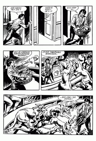 0595. ZAGOR IZAZIVAČ