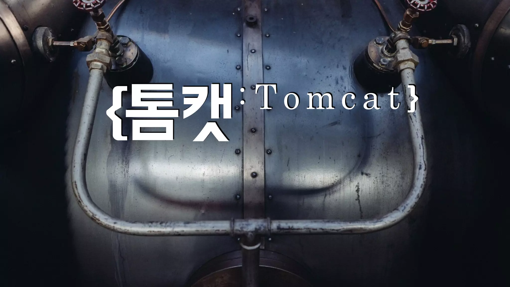 {톰캣: T o m c a t } 
 