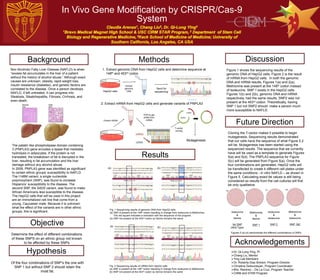 In Vivo Gene Modification by CRISPR/Cas-9
System
Cloning the T-vector makes it possible to begin
mutagenesis. Sequencing results demonstrated
that our cells have the sequence of what Figure 5.2
will be. Mutagenesis has been started using the
sequenced results. The sequence that we currently
have will be used as a template to generate Figures
5(a) and 5(d). The PNPLA3 sequence for Figure
5(c) will be generated from Figure 5(a). Once the
four combinations are generated, HepG2 cells will
be transfected to create 4 different cell plates under
the same conditions - in vitro NAFLD – as shown in
Figure 5. Calculating exact fat values is still being
considered so results from the cell cultures will first
be only qualitative.
Background
Objective
Methods
Results
Discussion
Future Direction
Acknowledgements
Non Alcoholic Fatty Liver Disease (NAFLD) is when
“excess fat accumulates in the liver of a patient
without the history of alcohol abuse.” Although exact
causes are unknown, obesity, rapid weight loss,
insulin resistance (diabetes), and genetic factors are
correlated to the disease. Once a person develops
NAFLD, if left untreated, it can progress into
Steatosis, Steatohepatitis, Fibrosis, Cirrhosis, and
even death.
Determine the effect of different combinations
of these SNPS on an ethnic group not known
to be affected by these SNPs
Figure 1 shows the sequencing results of the
genomic DNA of HepG2 cells. Figure 2 is the result
of mRNA from HepG2 cells. In both the genomic
DNA and mRNA results, Figures 1(a) and 2(a),
Methionine was present at the 148th codon instead
of Isoleucine. SNP 1 exists in the HepG2 cells.
Figures 1(b) and 2(b), genomic DNA and mRNA
respectively, had the same results, SNP2 was not
present at the 453rd codon. Theoretically, having
SNP 1 but not SNP2 should make a person much
more susceptible to NAFLD.
Dr. Qi-Long Ying, PI
Chang Liu, Mentor
Ying Lab Members
Dr. Roberta Diaz Brinton, Program Director
Christina Zeitountsyan, Program Coordinator
Mrs. Ramirez – De La Cruz, Program Teacher
CIRM and STAR Program
The patatin like phospholipase domain containing
3 (PNPLA3) gene encodes a lipase that mediates
hydrolysis in adipocytes. If the protein is not
translated, the breakdown of fat is disrupted in the
liver, resulting in fat accumulation and the liver
damage without any alcohol abuse.
In 2009, PNPLA3 gene was identified as significant
to certain ethnic groups’ susceptibility to NAFLD.
The I148M variant, a single nucleotide
polymorphism (SNP), was found to increase
Hispanics‘ susceptibility to the disease. The
second SNP, the S453I variant, was found to make
African Americans less susceptible to the disease.
The HepG2 cells that will be used in this project
are an immortalized cell line that come from a
young, Caucasian male. Because it is unknown
what the effect of the variants are in other ethnic
groups, this is significant.
Hypothesis
Fig. 1 Sequencing results of genomic DNA from HepG2 cells
(a) SNP is present at the 148th codon resulting in change from Isoleucine to Methionine.
The red square indicates a mismatch with the sequence of the program.
(b) SNP not present at the 453rd codon so Serine remains the same
Isoleucine
&
Serine
No SNP
(Wild Type)
Methionine
&
Isoleucine
SNP 1&2
Isoleucine
&
Isoleucine
SNP 2
Methionine
&
Serine
SNP 1
Of the four combinations of SNP’s the one with
SNP 1 but without SNP 2 should retain the
most fat.
Figures 5 (a)-(d) demonstrate the different combinations of SNPs.
(a) (b) (c) (d)
(b)(a)
Fig. 2 Sequencing results of mRNA from HepG2 cells
(a) SNP is present at the 148th codon resulting in change from Isoleucine to Methionine.
(b) SNP not present at the 453rd codon so Serine remains the same
(a) (b)
1. Extract genomic DNA from HepG2 cells and determine sequence at
148th and 453rd codon
2. Extract mRNA from HepG2 cells and generate variants of PNPLA3
HepG2 cells
Extract
genomic
DNA
Send for
sequencing
Extract mRNA
PCR to get
cDNA from
mRNA
T-vector
cloning
vector
insert
Mutagenesis
 