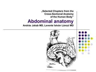 „Selected Chapters from the
                Cross-Sectional Anatomy
                      of the Human Body”

   Abdominal anatomy
András Jakab MD, Levente István Lánczi MD
 