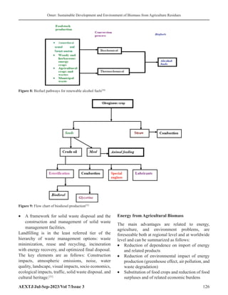 Sustainable Development and Environment of Biomass from Agriculture ...