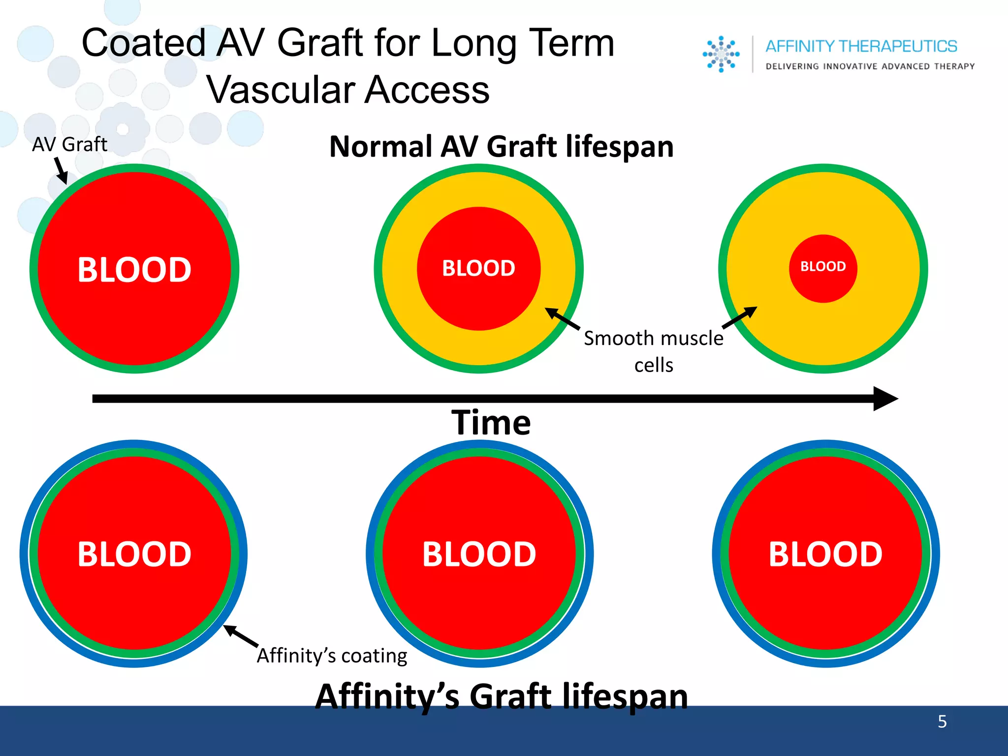 Coated AV Graft for Long Term Vascular Access 
5 
BLOOD 
Time 
BLOOD 
BLOOD 
Blood 
BLOOD 
Normal AV Graft lifespan 
BLOOD 
BLOOD 
Smooth muscle cells 
AV Graft 
Affinity’s coating 
Affinity’s Graft lifespan  