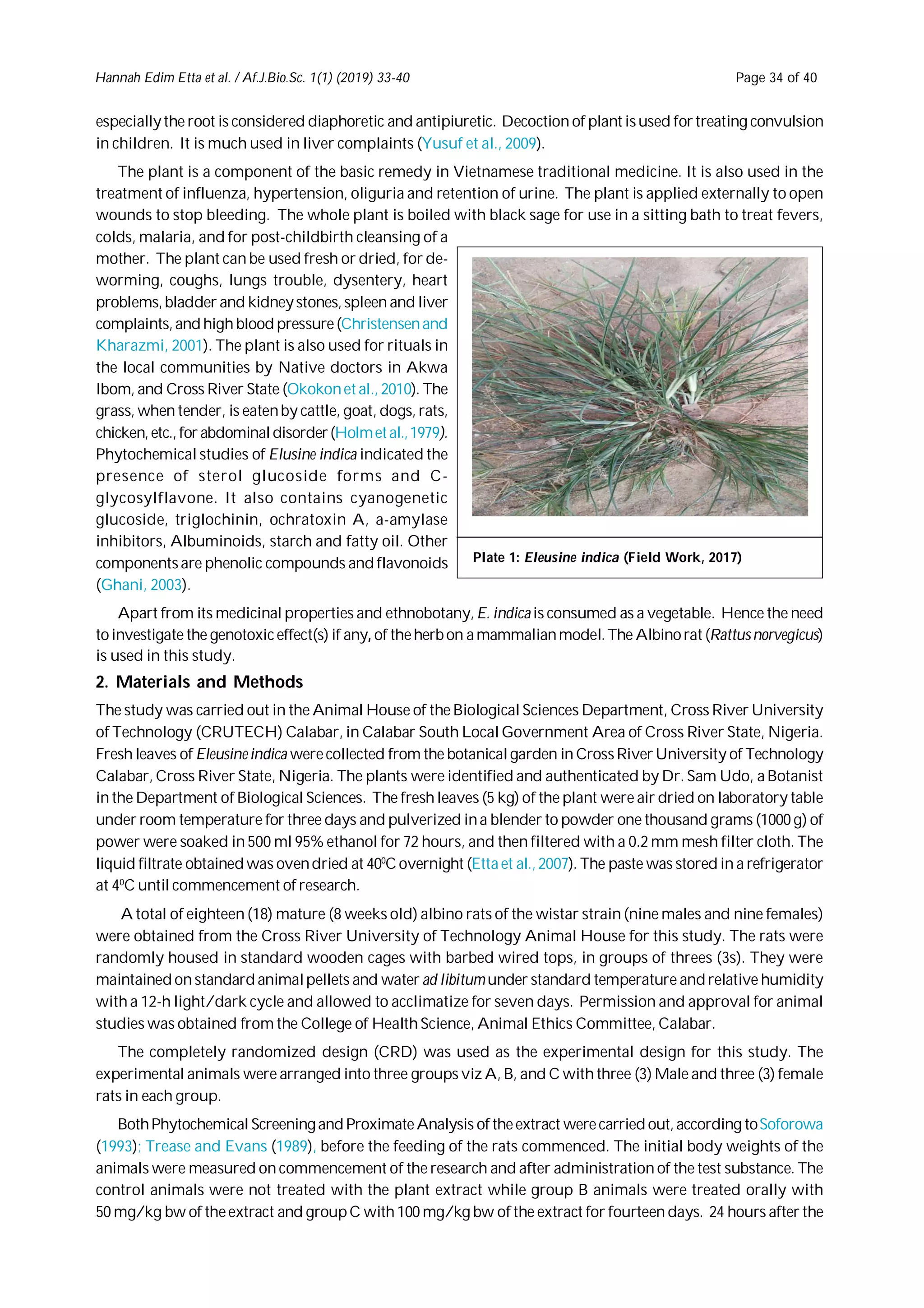 Investigating genotoxicity of Eleusine indica by micronuclei assay in ...