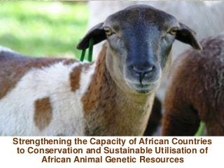 Strengthening the Capacity of African Countries
to Conservation and Sustainable Utilisation of
African Animal Genetic Resources
 
