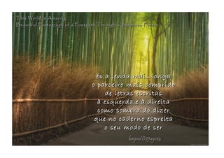 és a lenda mais longaés a lenda mais longa
o parceiro mais compridoo parceiro mais comprido
de letras escritasde letras escritas
à esquerda e à direitaà esquerda e à direita
como sombra do dizercomo sombra do dizer
que no caderno espreitaque no caderno espreita
o seu modo de sero seu modo de ser
hagna'C05ago14hagna'C05ago14
This World is AmazingThis World is Amazing
Beautiful Photograph of a Footpath Through a Japanese ForestBeautiful Photograph of a Footpath Through a Japanese Forest
 