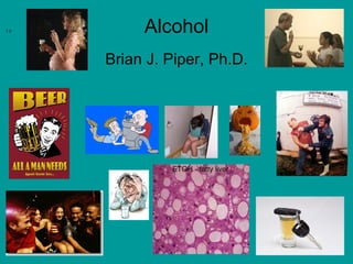1.0        Alcohol
      Brian J. Piper, Ph.D.
 