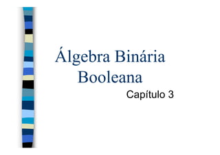 Álgebra Binária
   Booleana
         Capítulo 3
 