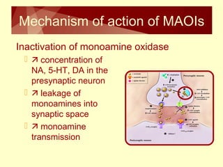Mechanism of action of MAOIs 
Inactivation of monoamine oxidase 
  concentration of 
NA, 5-HT, DA in the 
presynaptic neuron 
  leakage of 
monoamines into 
synaptic space 
  monoamine 
transmission 
 