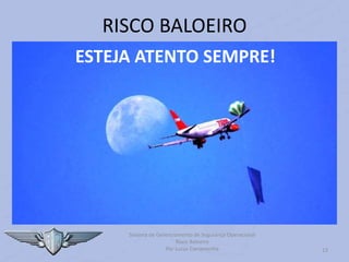 13
RISCO BALOEIRO
ESTEJA ATENTO SEMPRE!
Sistema de Gerenciamento de Segurança Operacional
Risco Baloeiro
Por Lucas Carramenha
 