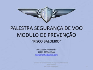 14
PALESTRA SEGURANÇA DE VOO
MODULO DE PREVENÇÃO
“RISCO BALOEIRO”
Por Lucas Carramenha
(11) 9 98596-1900
lcarramenha@gmail.com
Sistema de Gerenciamento de Segurança Operacional
Risco Baloeiro
Por Lucas Carramenha
 