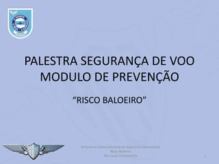 Sistema de Gerenciamento de Segurança Operacional
Risco Baloeiro
Por Lucas Carramenha 1
PALESTRA SEGURANÇA DE VOO
MODULO DE PREVENÇÃO
“RISCO BALOEIRO”
 