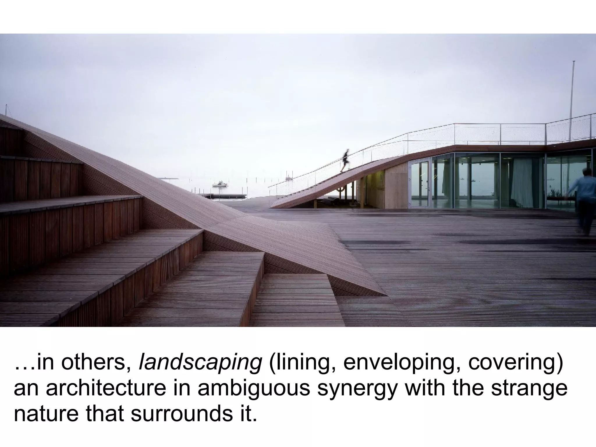 …in others, landscaping (lining, enveloping, covering)
an architecture in ambiguous synergy with the strange
nature that surrounds it.
 